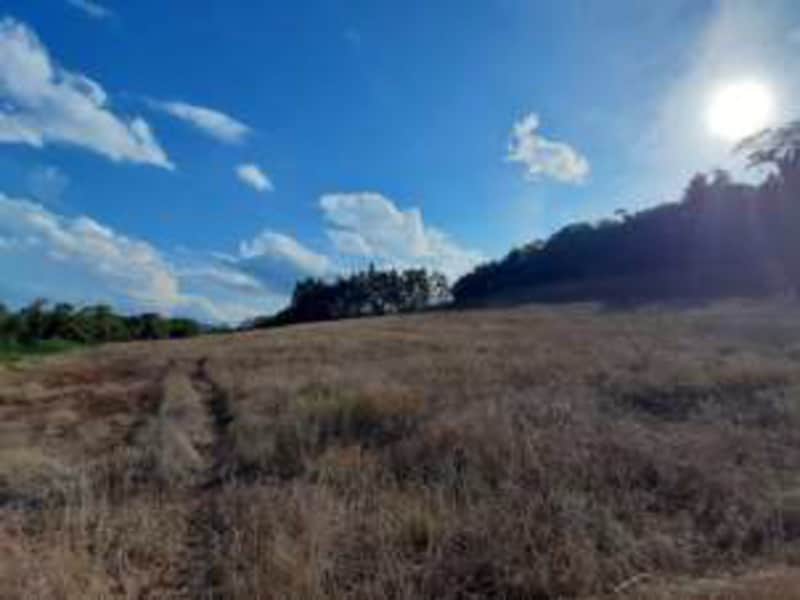 Terreno São Bernardino SC, localizado em São Bernardino - SC