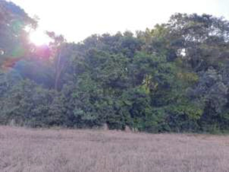 Terreno São Bernardino SC, localizado em São Bernardino - SC