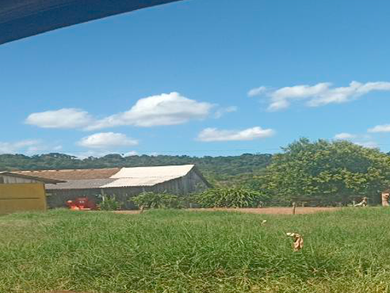 Terreno - Saudades - SC - Residencial,Comercial,Rural - Saudades/SC. Uma parte de terras com área superficial de 130.000,00m², situado no lugar denominado Seção Maipu (parte do Lote 154), melhor descrito(a), confrontado(a) e caracterizado(a) em matrícula. INCRA 815.314.003.875-0. Matrícula 9.609 (CNM 107631.2.0009609-80) do RI da Comarca de Pinhalzinho/SC. - leilão extrajudicial - Não informado BR - lance mínimo R$ 1.537.000