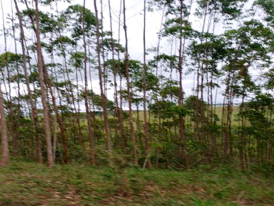 Terreno - Jaguaquara - BA - Comercial,Rural,Terreno,Residencial - Jaguaquara/BA. Distrito de Ipiúna. Um terreno com área superficial de 60ha, situado no lugar denominado Fazenda Boa Fé (IN LOCO: FAZENDA BOA ESPERANÇA), melhor descrito(a), confrontado(a) e caracterizado(a) em matrícula. INCRA 314.099.005.223-6. Matrícula 1.043 do RI local. - Não informado BR - lance mínimo R$ 319.000