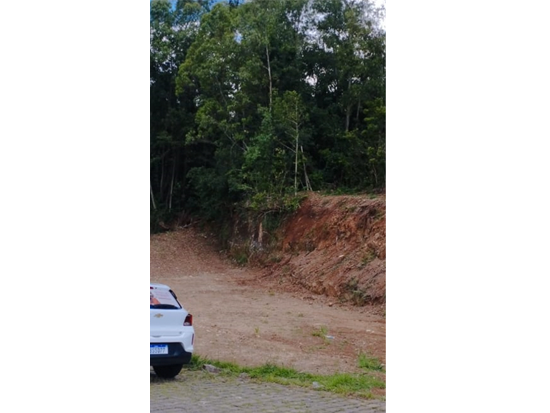 Terreno - Caxias do Sul - RS - Terreno - ÁREA INSTITUCIONAL Nº 176, constituído pelo atual lote administrativo nº 012 da quadra nº 4.376, matrícula nº 62.925, 1º zona de registro, com testada para a Avenida João Quinto Toigo, lado par, distanciado a 38 metros da esquina da Avenida Dr. Luiz Mezzalira Filho, dentro do quarteirão formado pelas citadas vias, além da Rua Quitéria Campos de Almeida, sem benfeitorias,tendo o terreno a área superficial de 4.083,35 m² (quatro mil e oitenta e três metros e trinta e cinco decímetros quadrados), com as seguintes medidas e confrontações: a NOROESTE, por 79 ,51 metros, com a Avenida João Quinto Toigo; ao SUL, por 76,16 metros com os lotes nos 006, 007, 008, 009, 010 e 011; a OESTE, por 41,22 metros com o lote nº 013; e a LESTE, por 66,04 metros com o limite da quadra nº 2.740; - Não informado BR - lance mínimo R$ 2.540.000