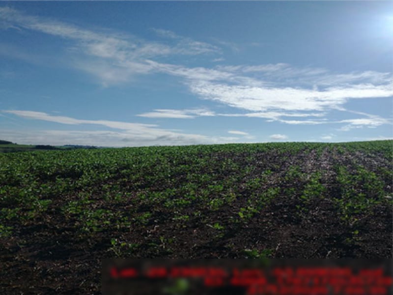 Terreno Ajuricaba RS, localizado em Ajuricaba - RS