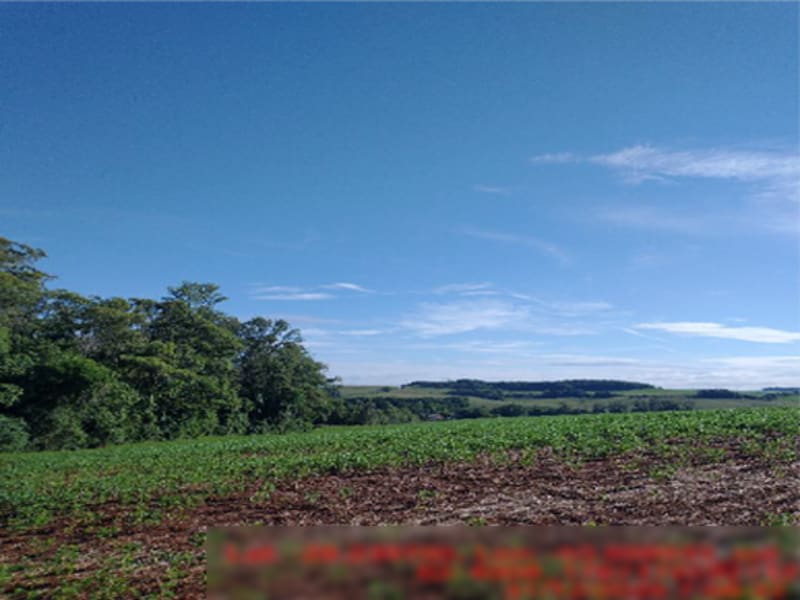 Terreno Ajuricaba RS, localizado em Ajuricaba - RS