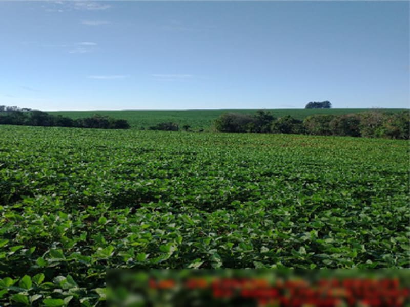 Terreno Ajuricaba RS, localizado em Ajuricaba - RS