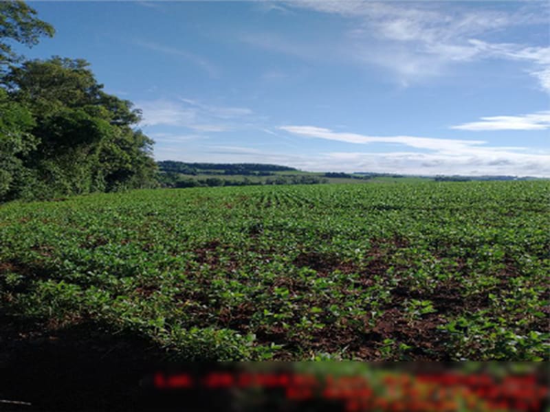 Terreno Ajuricaba RS, localizado em Ajuricaba - RS