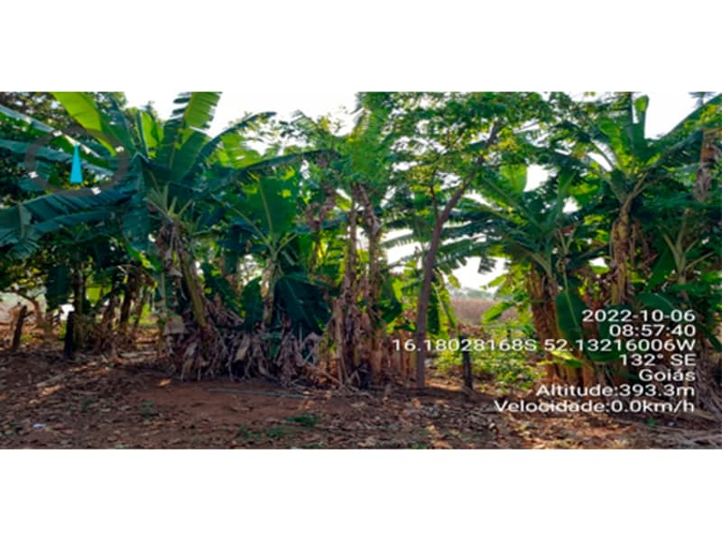 Terreno - Bom Jardim de Goiás - GO, localizado em Bom Jardim De Goiás - GO