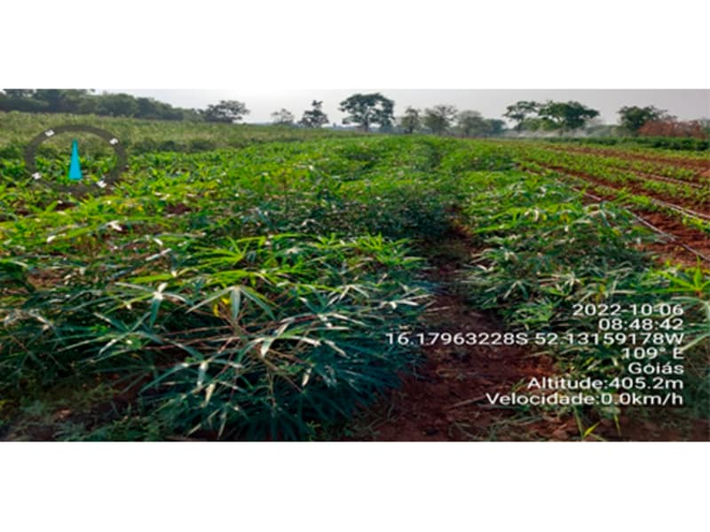 Terreno - Bom Jardim de Goiás - GO, localizado em Bom Jardim De Goiás - GO