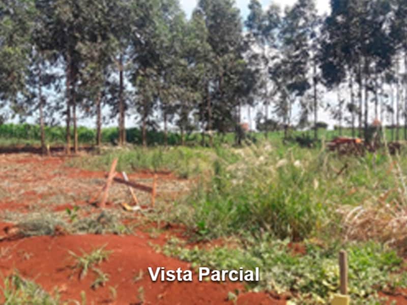 Terreno - São Miguel do Iguaçu - PR, localizado em São Miguel Do Iguaçu - PR