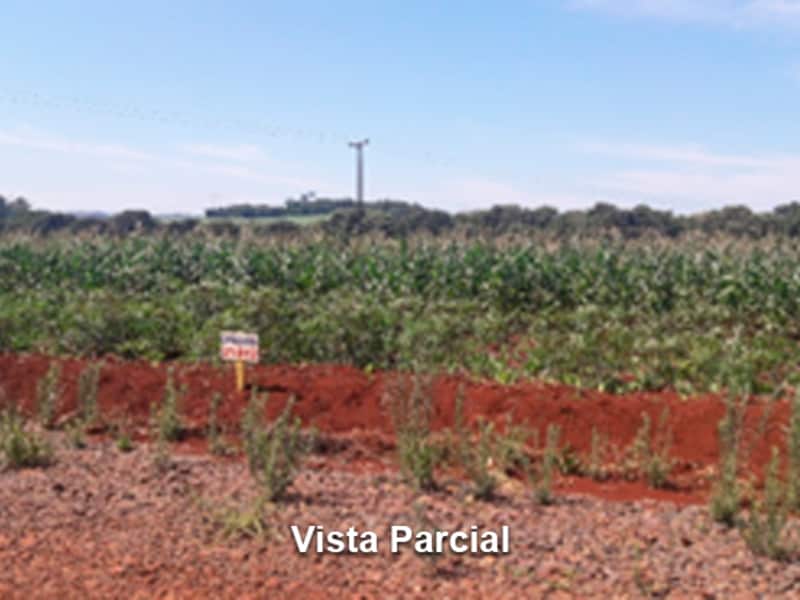 Terreno - São Miguel do Iguaçu - PR, localizado em São Miguel Do Iguaçu - PR