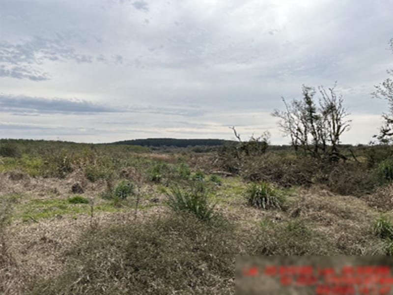 Área Rural - Rio Azul - PR, localizado em Rio Azul - PR