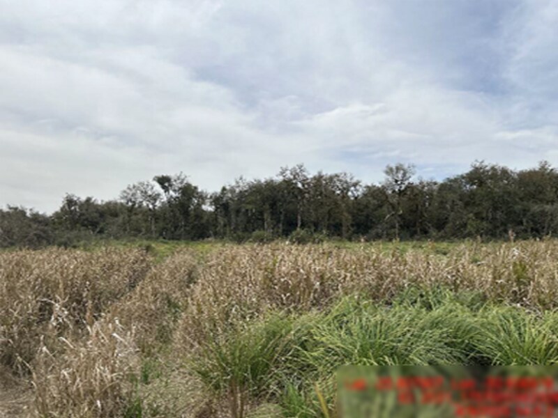 Área Rural - Rio Azul - PR, localizado em Rio Azul - PR