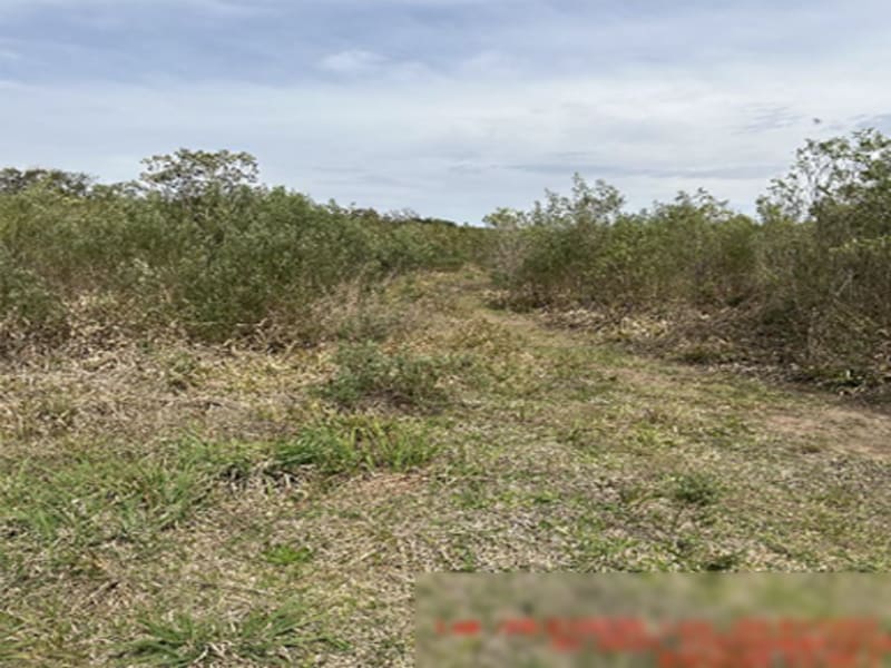 Área Rural - Rio Azul - PR, localizado em Rio Azul - PR
