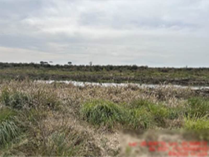 Área Rural - Rio Azul - PR, localizado em Rio Azul - PR