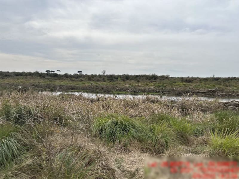 Área Rural - Rio Azul - PR, localizado em Rio Azul - PR