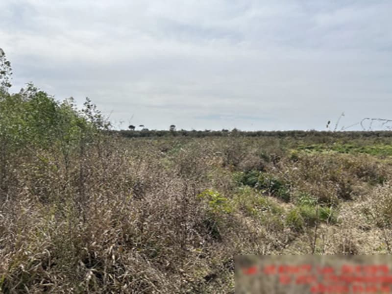 Área Rural - Rio Azul - PR, localizado em Rio Azul - PR