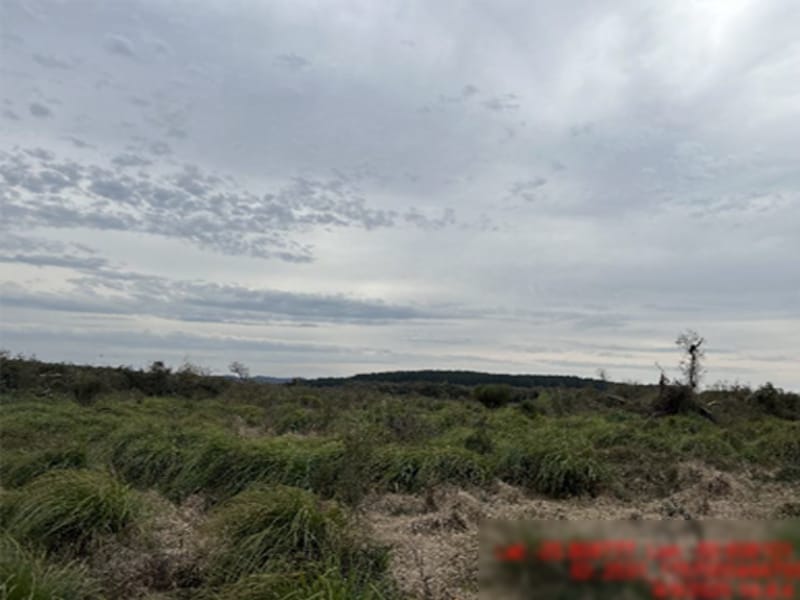 Área Rural - Rio Azul - PR, localizado em Rio Azul - PR