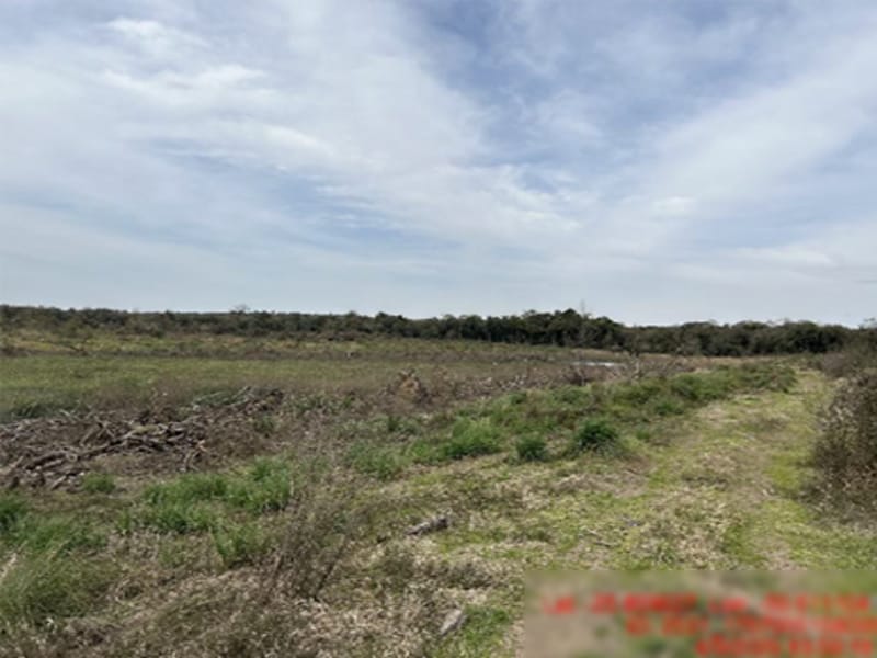Área Rural - Rio Azul - PR, localizado em Rio Azul - PR