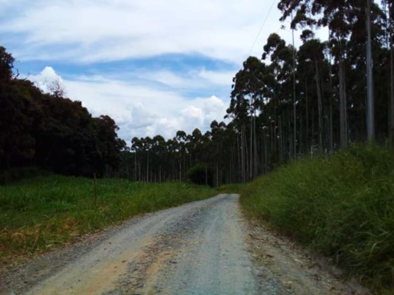 Terreno - Laurentino - SC, localizado em Laurentino - SC