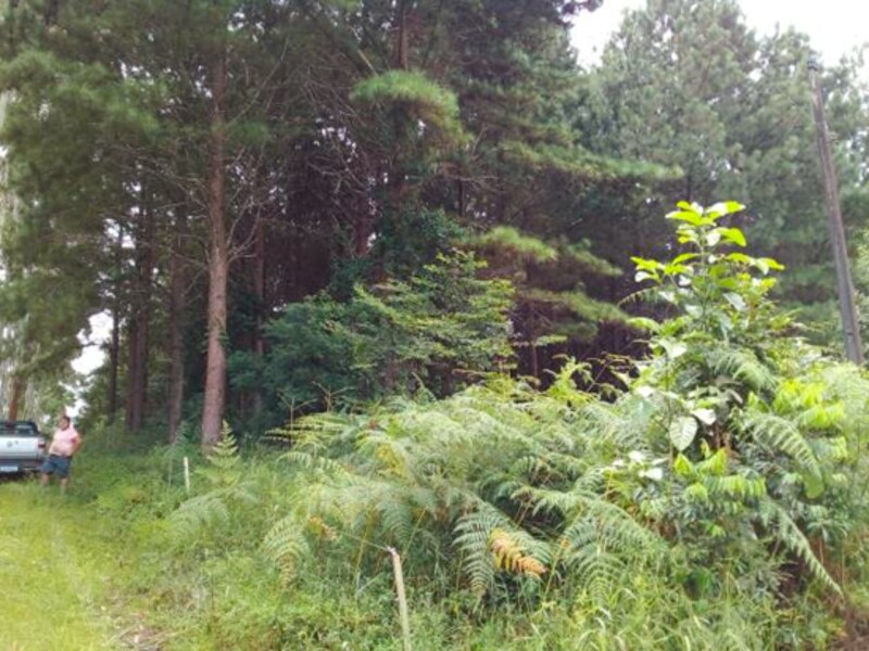 Terreno - Laurentino - SC, localizado em Laurentino - SC