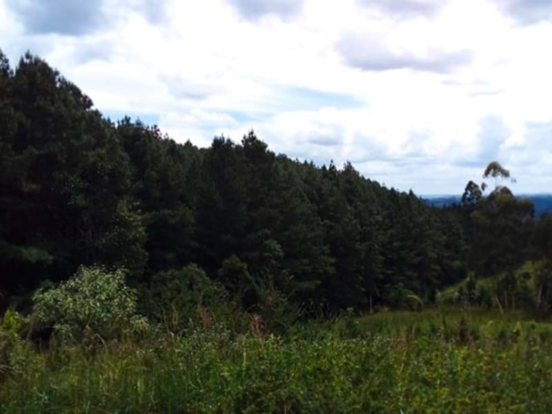 Terreno - Laurentino - SC, localizado em Laurentino - SC
