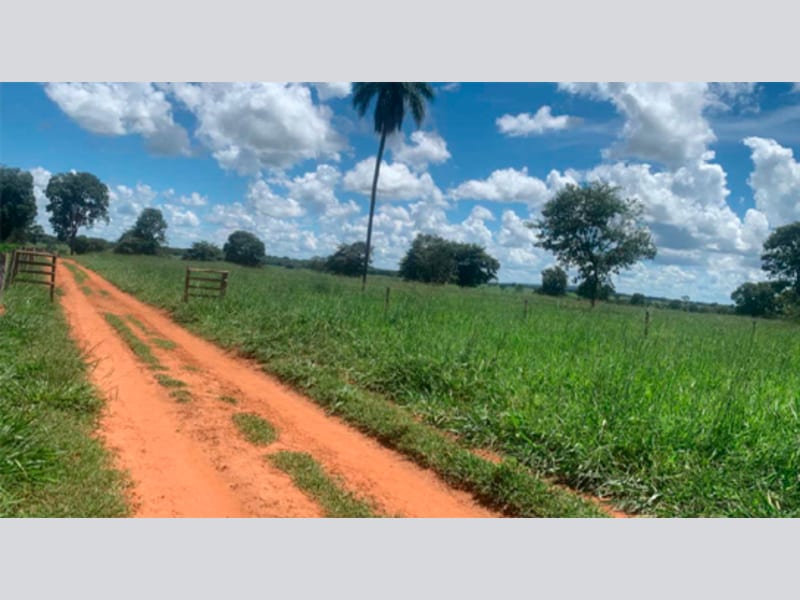 Sítio - Jussara - GO, localizado em Jussara - GO
