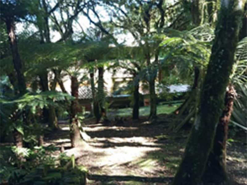Terreno São Francisco de Paula RS, localizado em São Francisco De Paula - RS