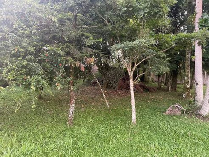 Terreno - Indaial - SC, localizado em Indaial - SC, bairro Carijós