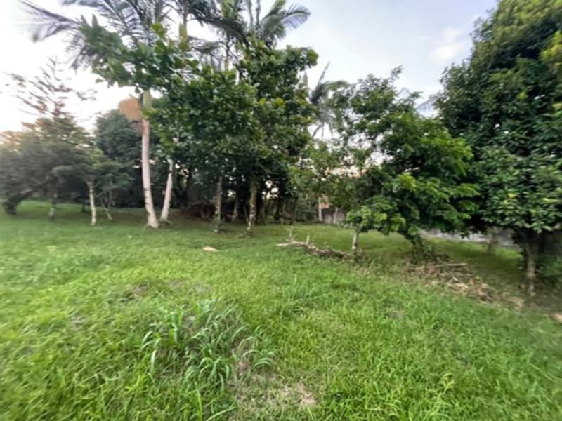 Terreno - Indaial - SC, localizado em Indaial - SC, bairro Carijós