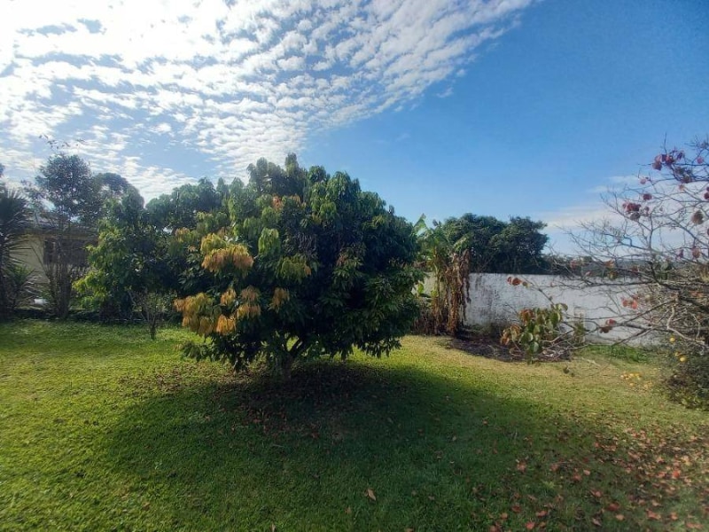 Casa - Suzano/SP, localizado em Suzano - SP