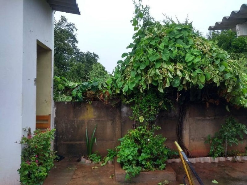 Casa - Promissão/SP, localizado em Promissão - SP, bairro Centro