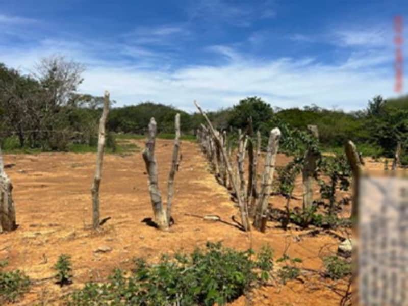 Terreno - São Gabriel - BA, localizado em São Gabriel - BA