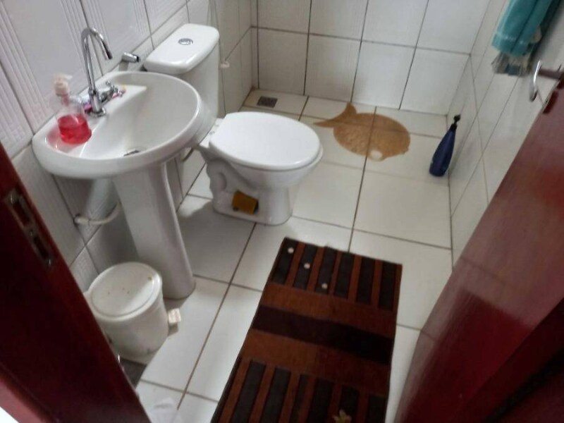 Casa - Campo Grande - MS, localizado em Campo Grande - MS, bairro Jardim das Perdizes
