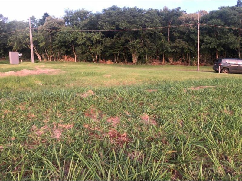 Loteamento - Sertanópolis - PR, localizado em Sertanópolis - PR
