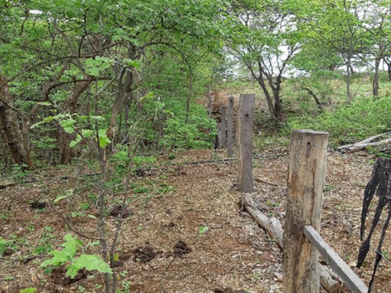 Terreno Pedras de Maria da Cruz MG, localizado em Pedras De Maria Da Cruz - MG