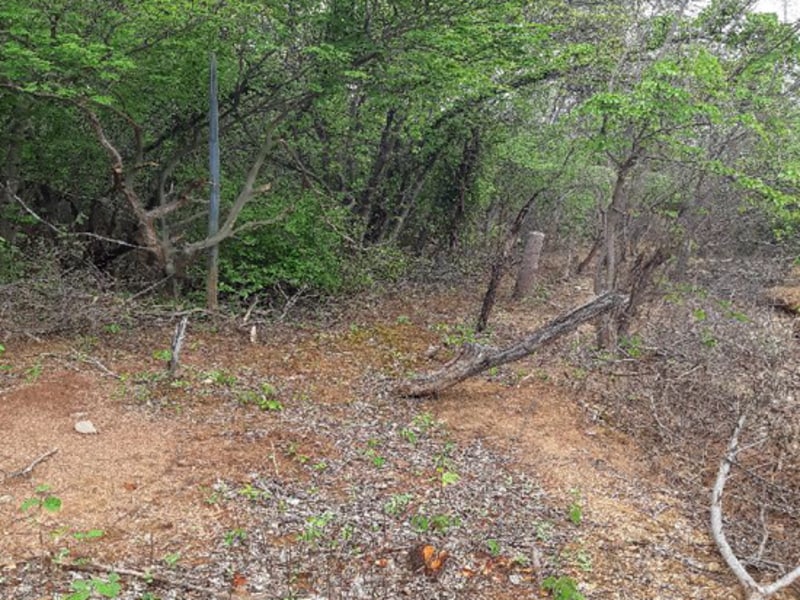 Imagem do imóvel Terreno Pedras de Maria da Cruz MG