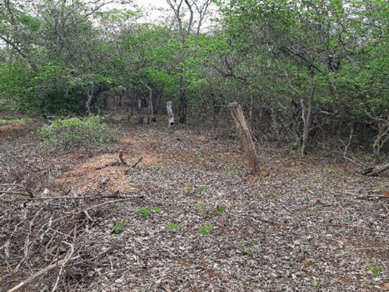 Terreno Pedras de Maria da Cruz MG, localizado em Pedras De Maria Da Cruz - MG