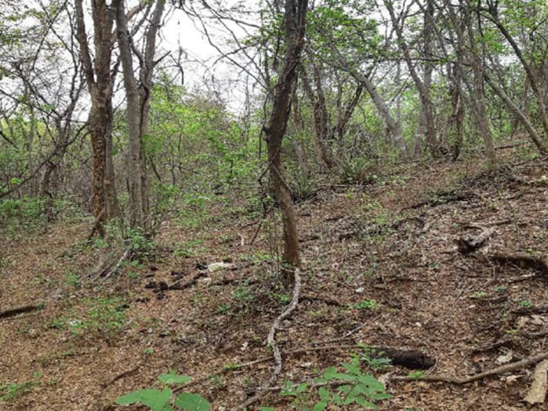 Terreno Pedras de Maria da Cruz MG, localizado em Pedras De Maria Da Cruz - MG
