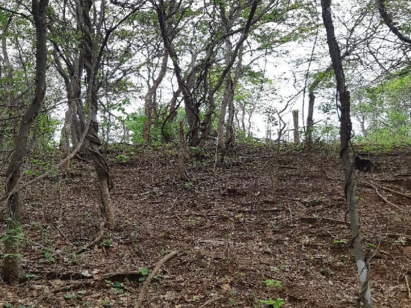Terreno Pedras de Maria da Cruz MG, localizado em Pedras De Maria Da Cruz - MG