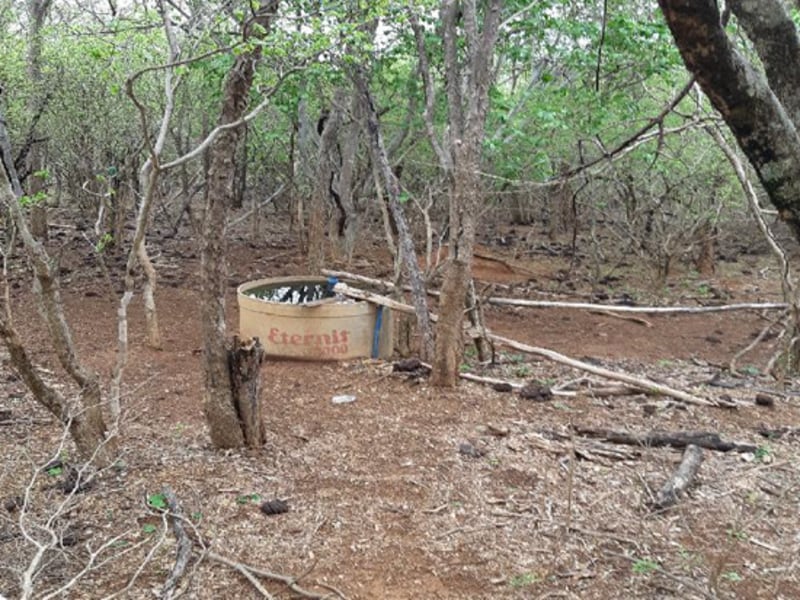 Terreno Pedras de Maria da Cruz MG, localizado em Pedras De Maria Da Cruz - MG
