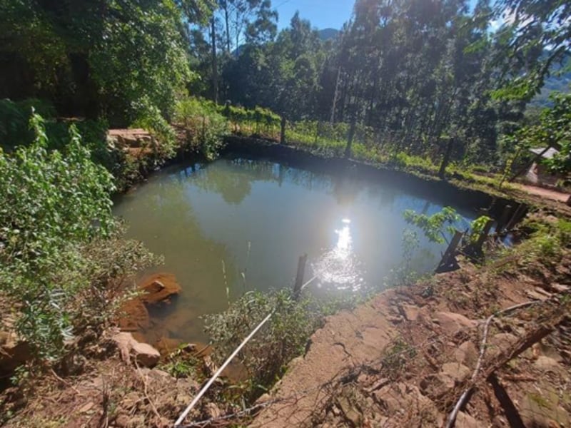 Terreno - São Francisco de Paula - RS, localizado em São Francisco De Paula - RS