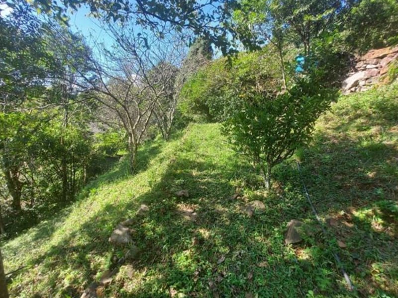 Terreno - São Francisco de Paula - RS, localizado em São Francisco De Paula - RS