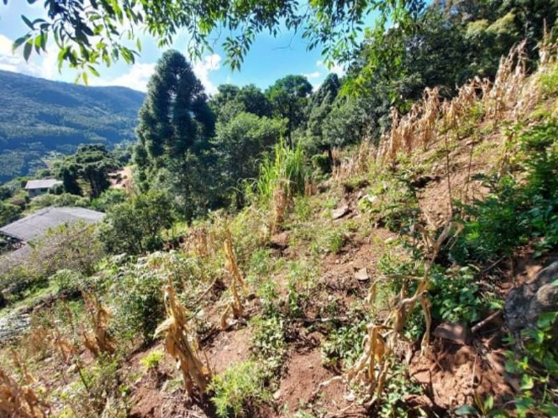 Terreno - São Francisco de Paula - RS, localizado em São Francisco De Paula - RS
