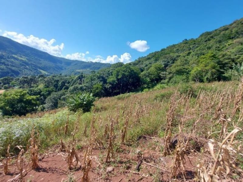 Terreno - São Francisco de Paula - RS, localizado em São Francisco De Paula - RS