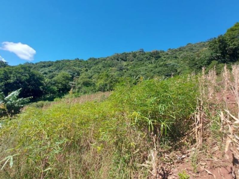 Terreno - São Francisco de Paula - RS, localizado em São Francisco De Paula - RS