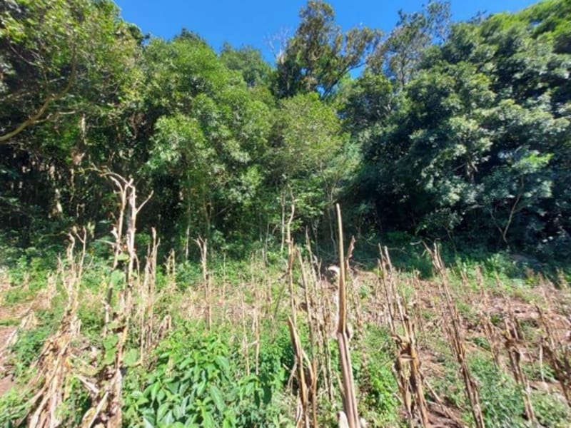 Terreno - São Francisco de Paula - RS, localizado em São Francisco De Paula - RS