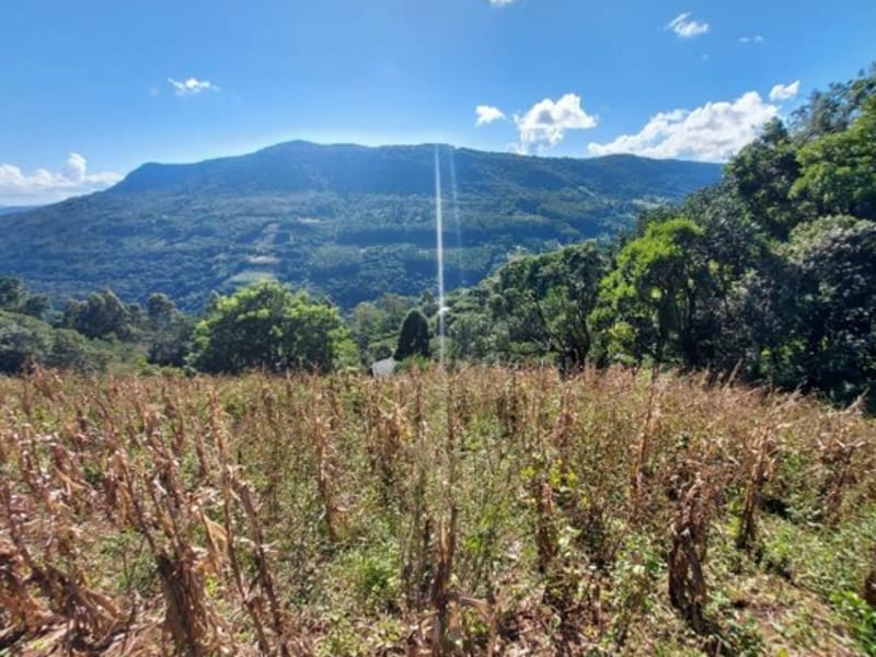 Terreno - São Francisco de Paula - RS, localizado em São Francisco De Paula - RS