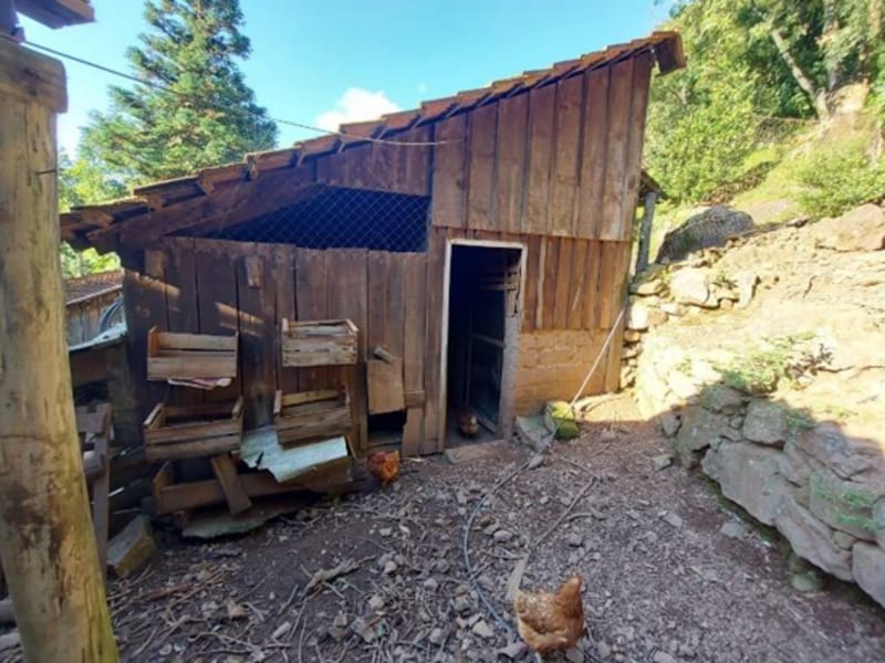 Terreno - São Francisco de Paula - RS, localizado em São Francisco De Paula - RS