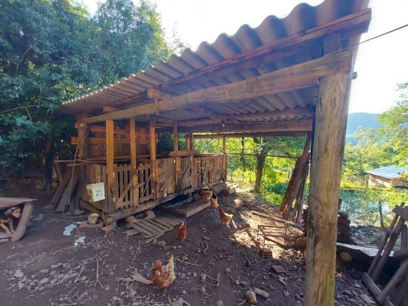 Terreno - São Francisco de Paula - RS, localizado em São Francisco De Paula - RS