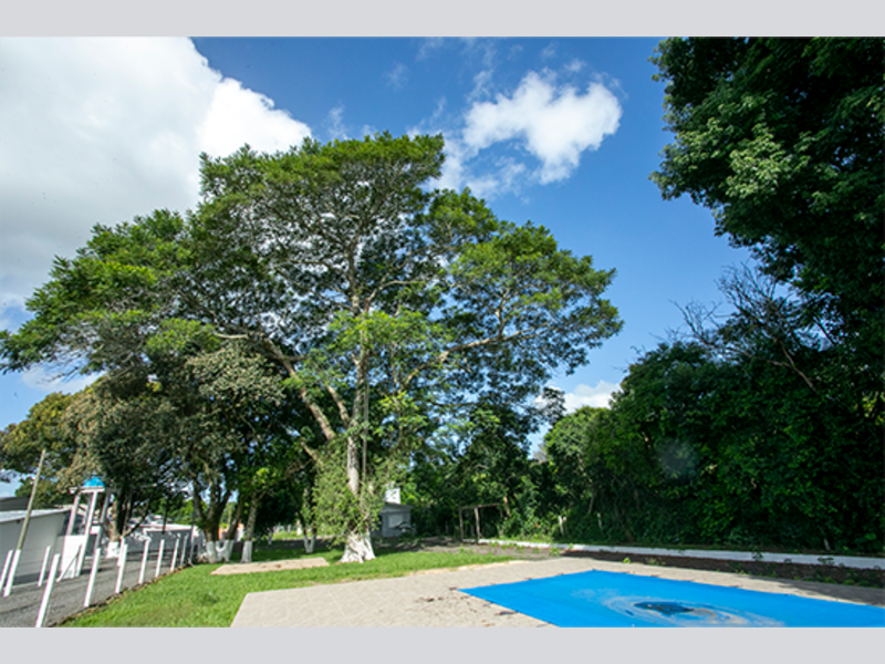 Casa - Viamão - RS, localizado em Viamão - RS, bairro Vila Esperança