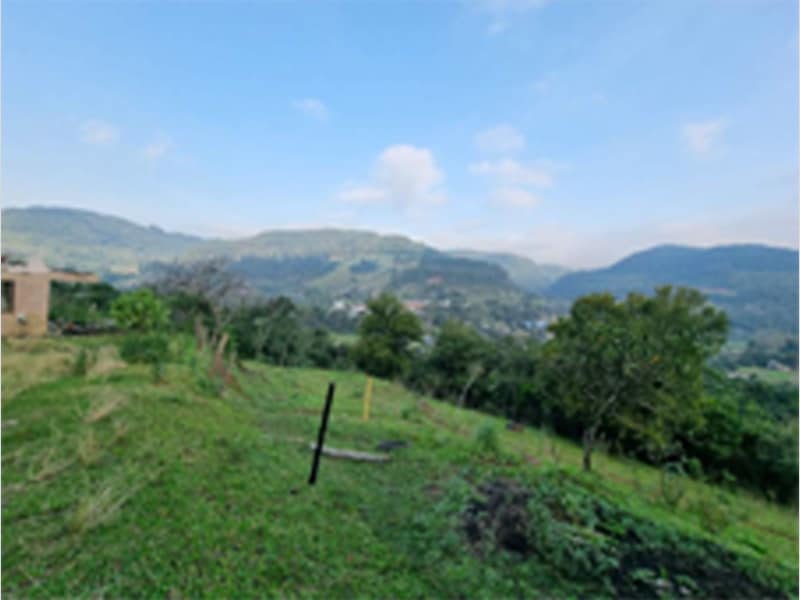 Fração de terra - Nova Bréscia - RS, localizado em Nova Bréscia - RS